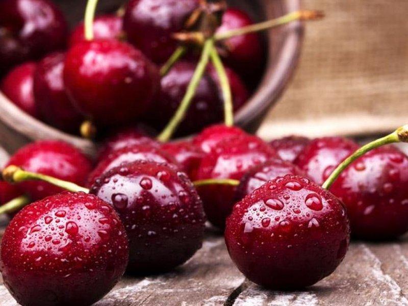 Вишня купить саженцы из питомника в Мариуполе